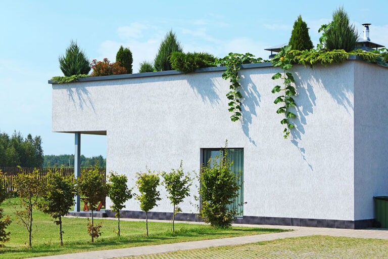 Kappelhoff-Galabau-Horstmar-Leer_Gewerbe&Oeffentlich_Leistung-Dach-_und_Fassadenbegruenung