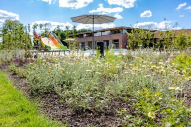 galabau_kappelhoff_blog_außengestaltung_schwimmbad (5)