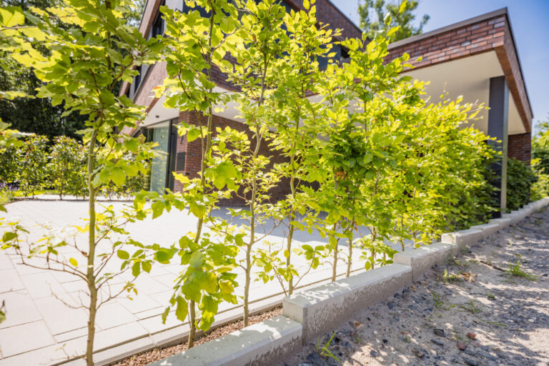 kappelhoff_leistungen_Zaunbau_Sichtschutz