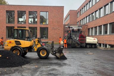 galabau_kappelhoff_blog_baumscheibe (5)