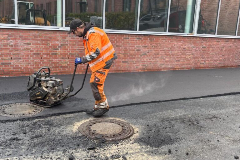 galabau_kappelhoff_blog_baumscheibe (8)