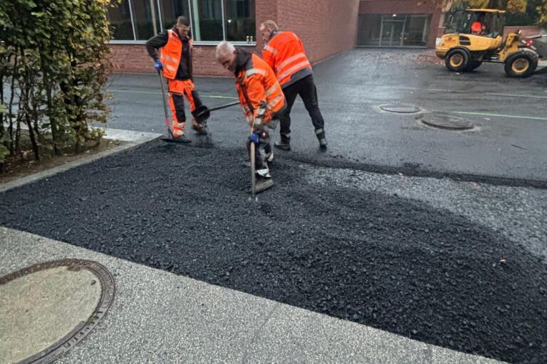 galabau_kappelhoff_blog_baumscheibe (9)