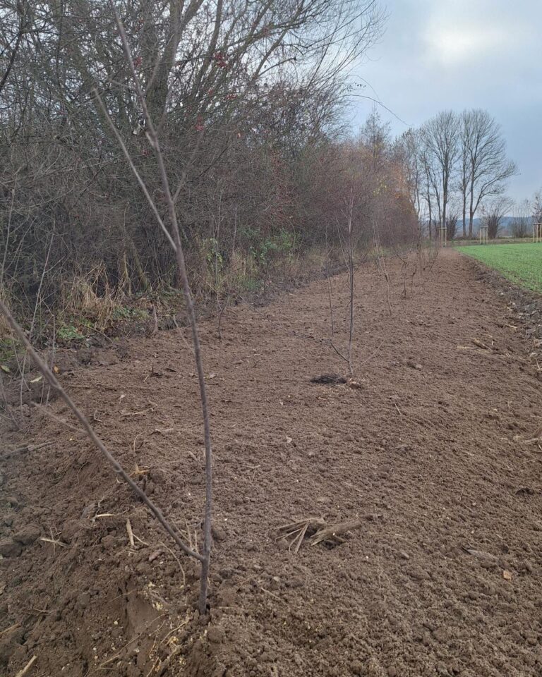 galabau_kappelhoff_blog_klaeranlage-2