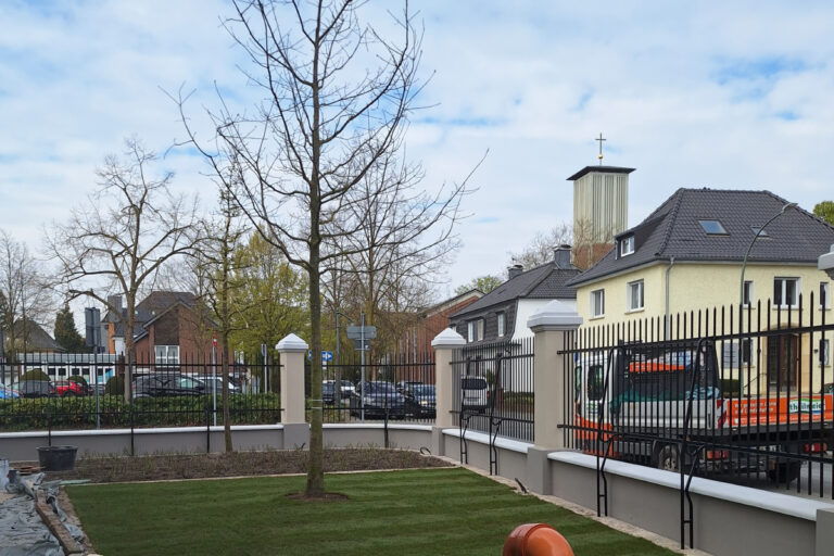 galabau_kappelhoff_blog_großbaumpflanzungen_kran-9